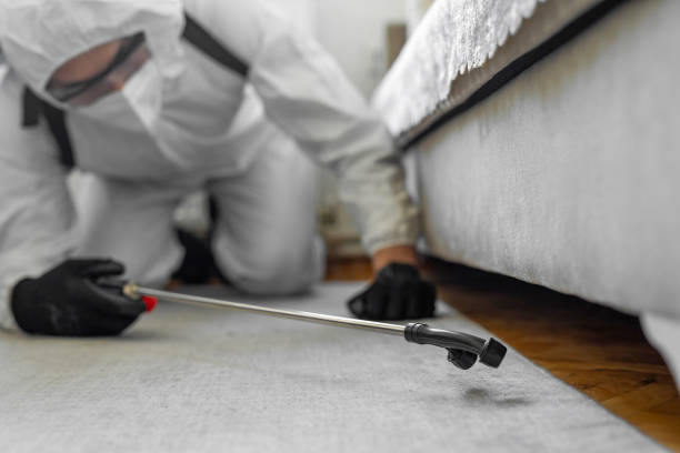 Professional Termite Control technician working in Putney, GA