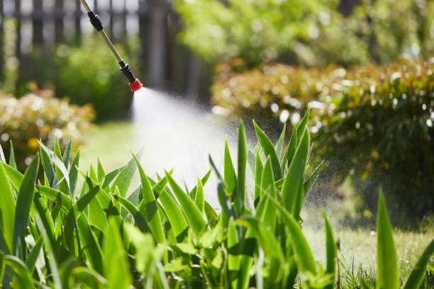 24/7 Emergency Termite Control experts in Putney, GA