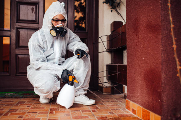 Reliable Termite Control contractor in Putney, GA by Nex Pest Control