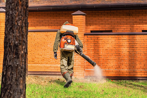 Top rated local Termite Control specialists in Putney, GA